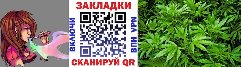Галлюциногенные грибы Ессентукская
