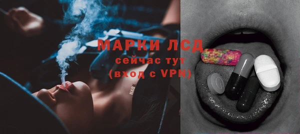 PSILOCYBIN Гусь-Хрустальный