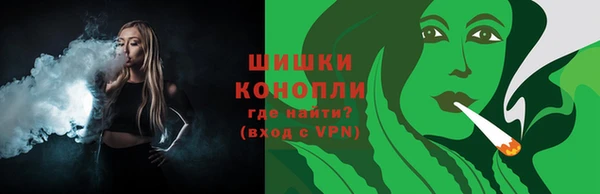PSILOCYBIN Гусь-Хрустальный