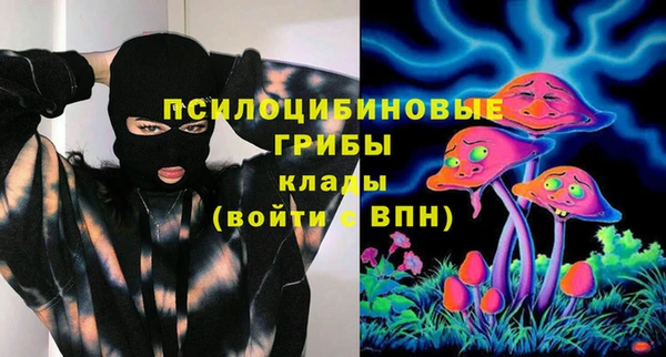 2c-b Гусиноозёрск