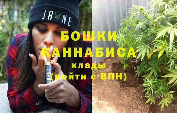 2c-b Гусиноозёрск