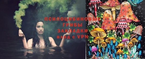 2c-b Гусиноозёрск
