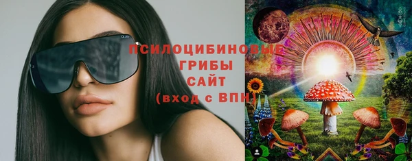 2c-b Гусиноозёрск