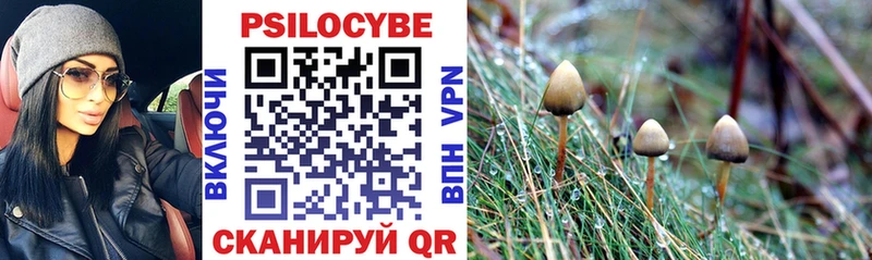 Псилоцибиновые грибы мухоморы  сколько стоит  Ессентукская 